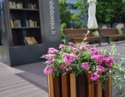 Ieva Stučinskaitė_Jonavos viešoji biblioteka_1