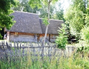 Jūratė Anankienė (Prienų J. Marcinkevičiaus viešoji biblioteka)3